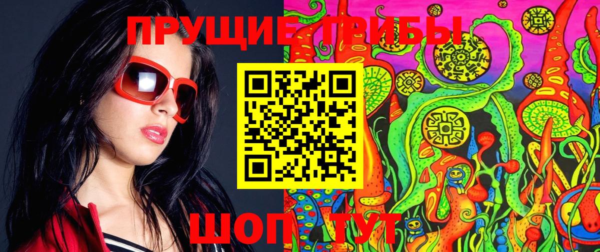 Новомосковск  Галлюциногенные грибы Psilocybine cubensis  Вход с VPN 
