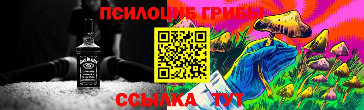 Псилоцибиновые грибы Psilocybine cubensis Новомосковск